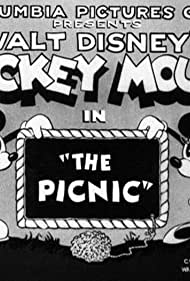 The Picnic