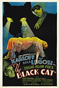 The Black Cat