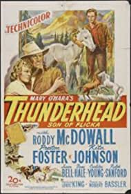 Thunderhead: Son of Flicka