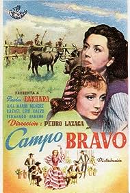 Campo Bravo