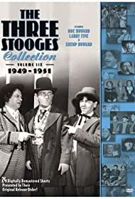 Studio Stoops