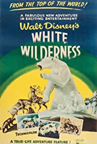 White Wilderness