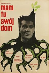Mam tu swój dom