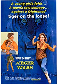A Tiger Walks