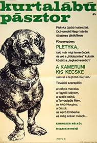 Kurtalábú pásztor
