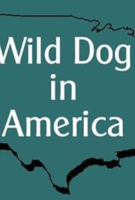 Wild Dog in America