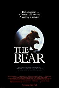 The Bear