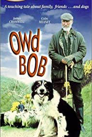 Owd Bob