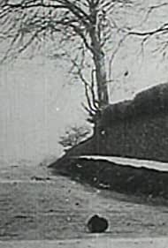Daylight Burglary