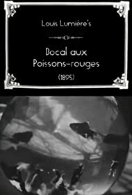 Bocal aux poissons-rouges