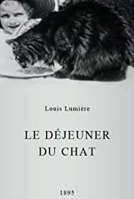 Le déjeuner du chat