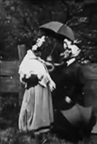 Ladies' Skirts Nailed to a Fence