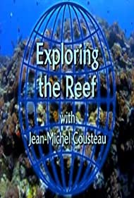 Exploring the Reef