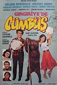 Girgiriye'de cümbüs