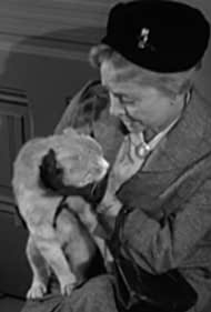 Miss Paisley's Cat