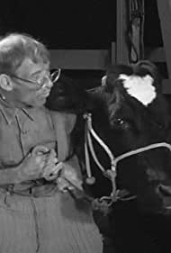 The Cow Thief