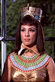 The Curse of Tut
