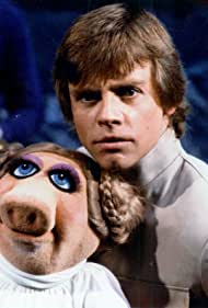 The Stars of Star Wars