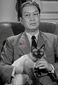 The Case of the Caretaker's Cat