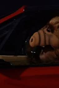 Baby, You Can Drive My Car