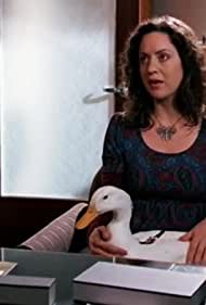 Duck and Cover