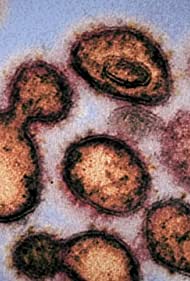 This Pandemic