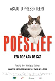 Kitty Love: An Homage to Cats
