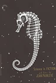 Shrimp Stories