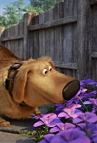 Smell