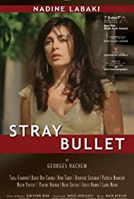 Stray Bullet