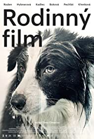 Family Film