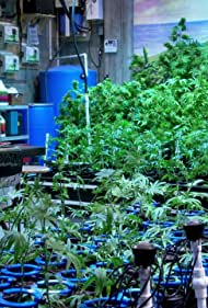 Omega Strain