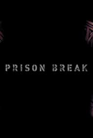 Prison Break: Visitations