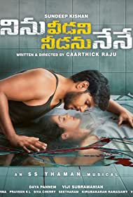 Ninnu Veedani Needanu Nene